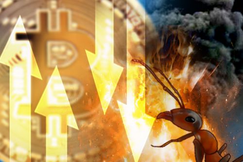 [국민일보] 미래 희망 앗아간 부동산에 분노... 가상화폐 올인 : [보도기사] 김현욱 교수