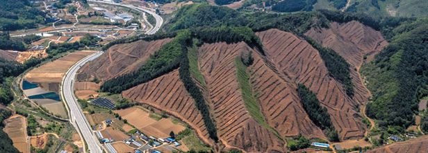 [조선일보] [조선일보 독자권익보호위원회 6월 정례회의] 교육부 상급 기관인 국가교육委 설치 위헌·위법성 지적했어야 : [보도기사] 김준경 교수