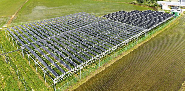 [조선일보] [조선일보 독자권익보호위원회 7월 정례회의] 대선 후보들의 역사관과 정치 철학 철저히 캐물어 검증해야 : [보도기사] 김준경 교수