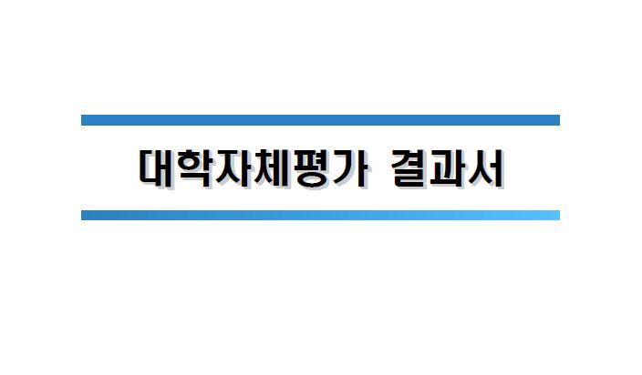 2015년도 대학자체평가 결과서