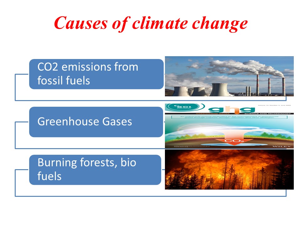 Causes of climate change | CO2 emissions from fossil fuels / Greenhouse Gases / Burning forests, bio fuels