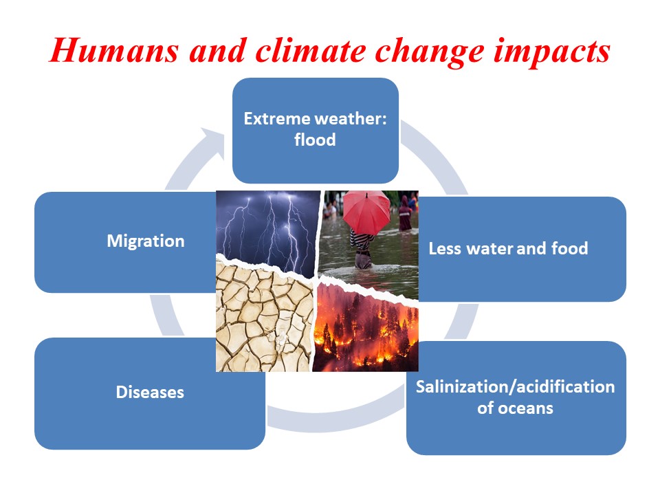 Humans and climate change impacts | Extreme weather : flood, Migration, Diseases, Salinization/acidification of oceans
