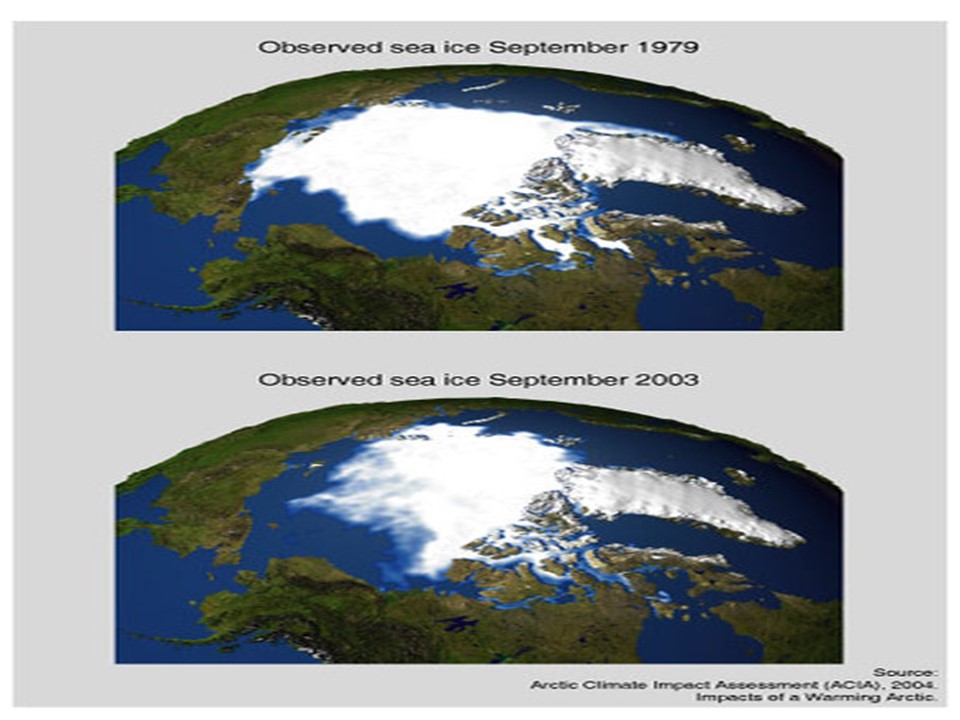 Observed sea ice September 1979 : Observed sea ice September 2003