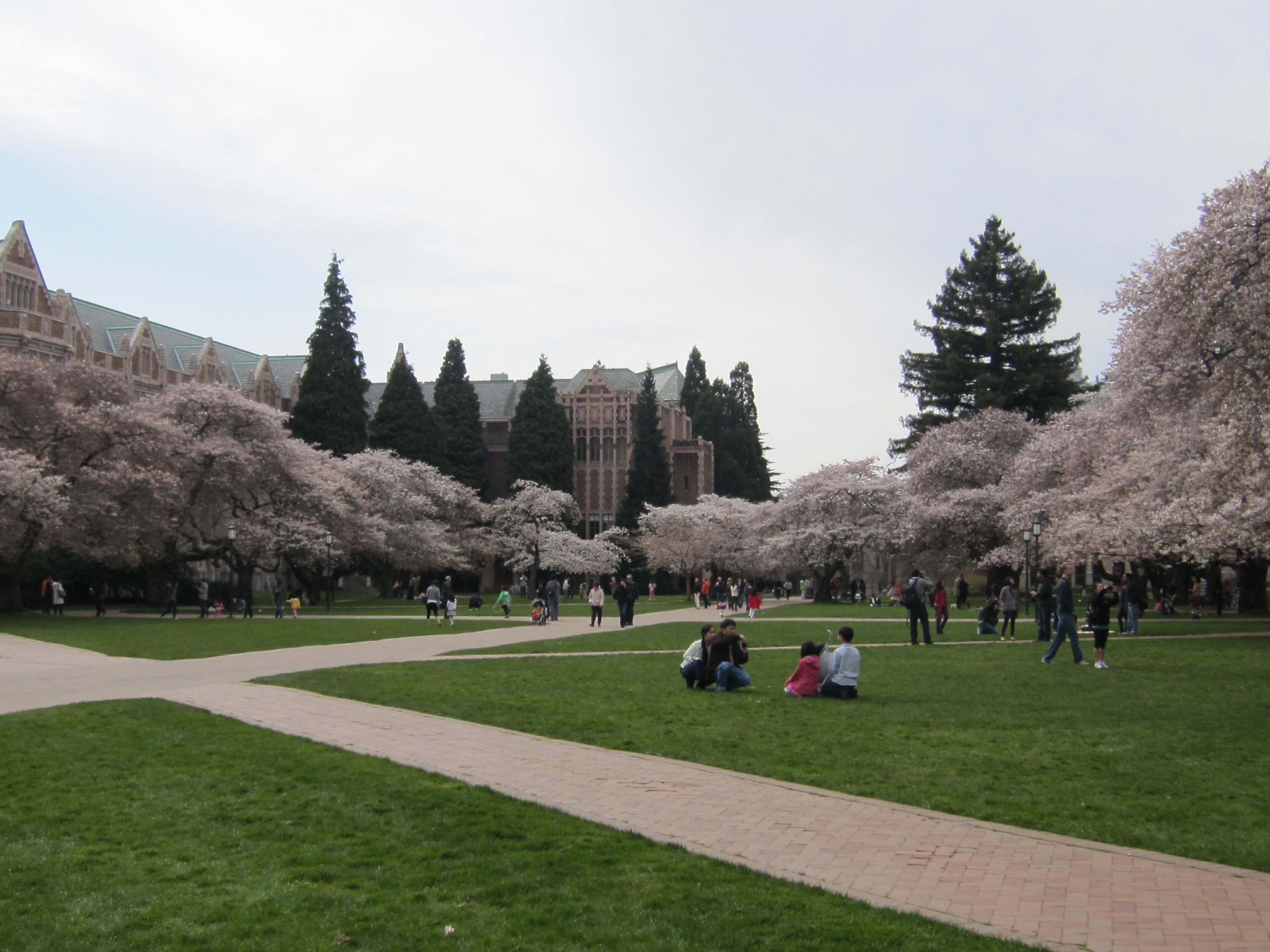 One of the rare big chances: Life at the University of Washington