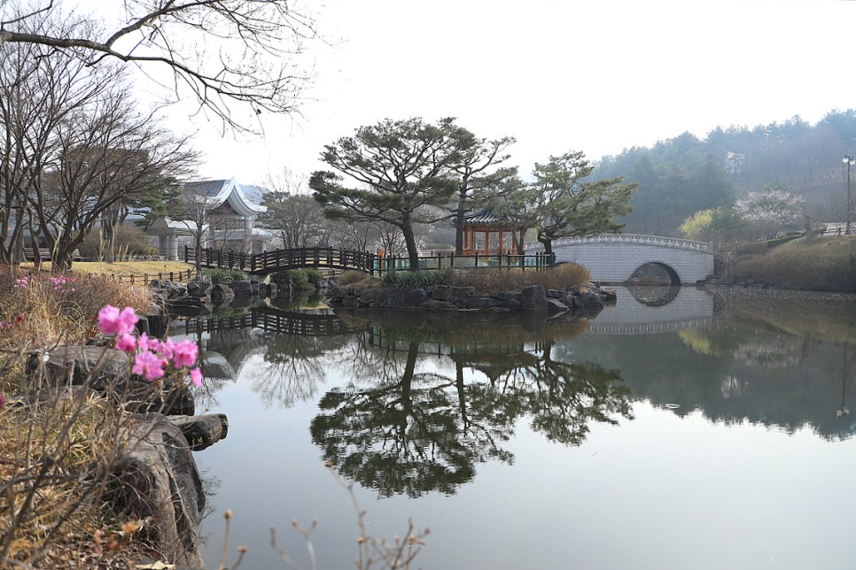 Beautiful Places to Visit During the Summer in Sejong