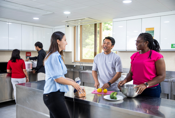 Kitchen : Microwaves, Electric stoves, Toasters, Rice이미지